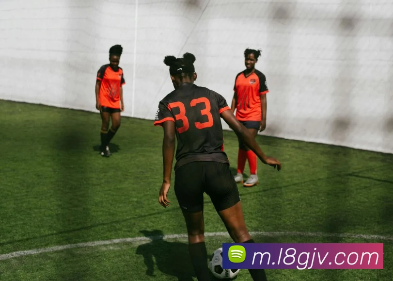 龙8国际APP 封面图